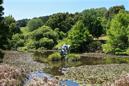 Reflective Habitat