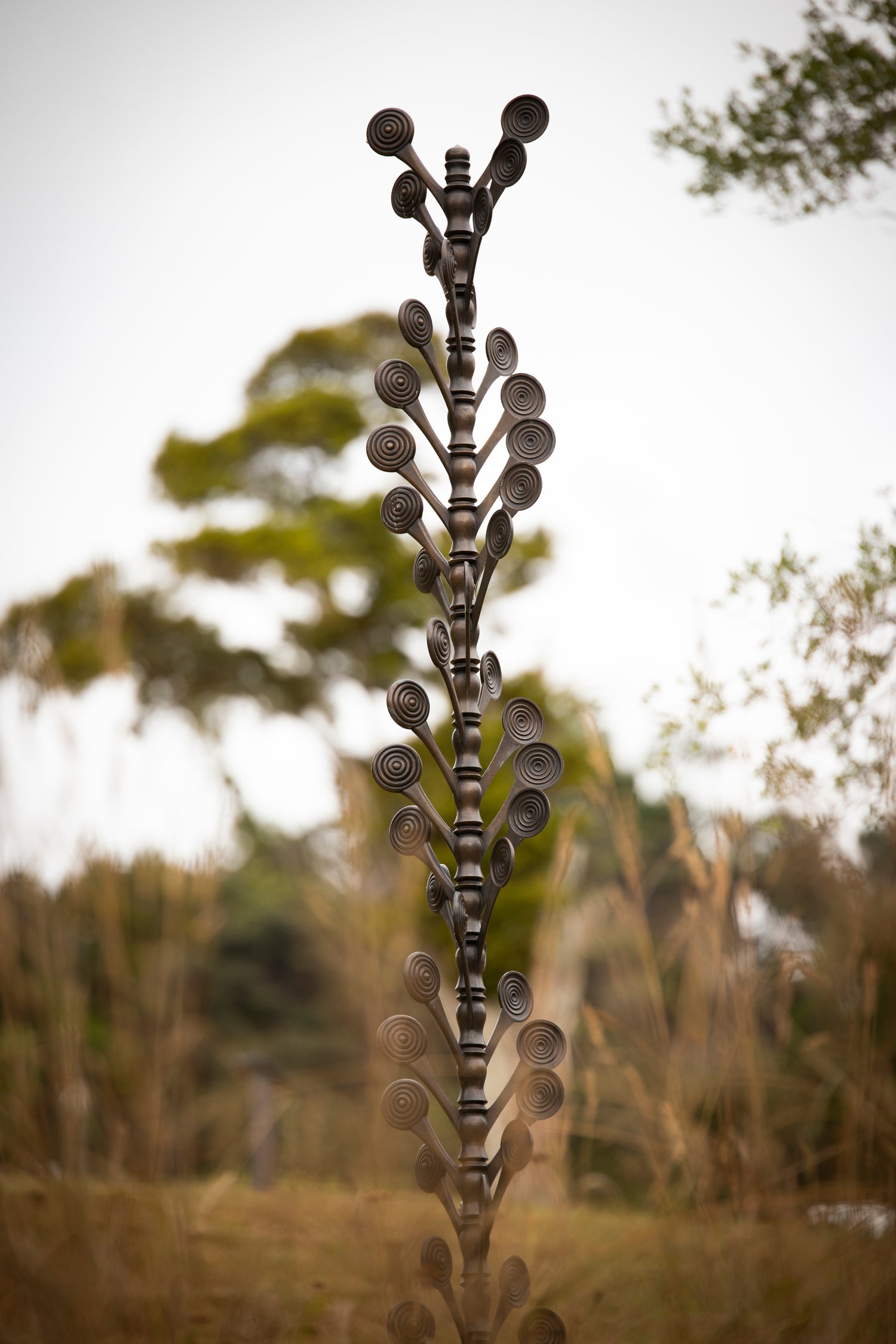 Medal Tree