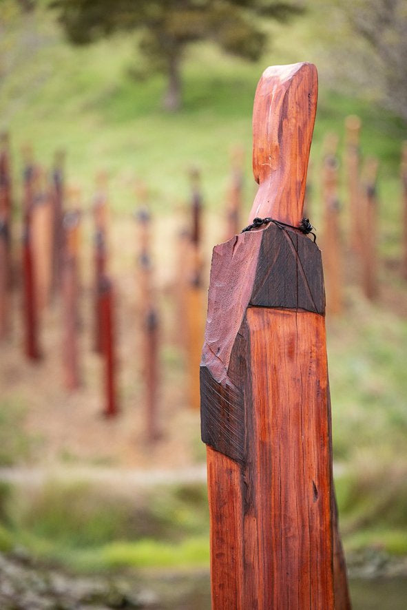 Ngā Manaaki