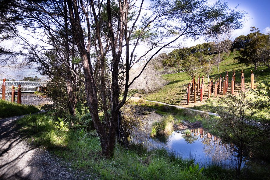 Ngā Manaaki