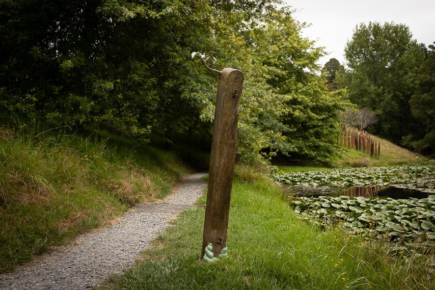 Regeneration Series: Puriri Gate Post