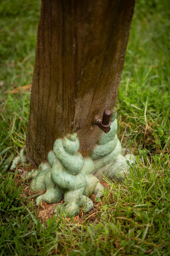 Regeneration Series: Puriri Gate Post