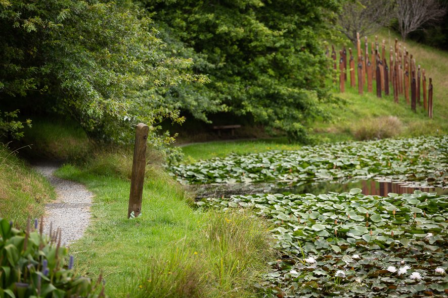 Regeneration Series: Puriri Gate Post