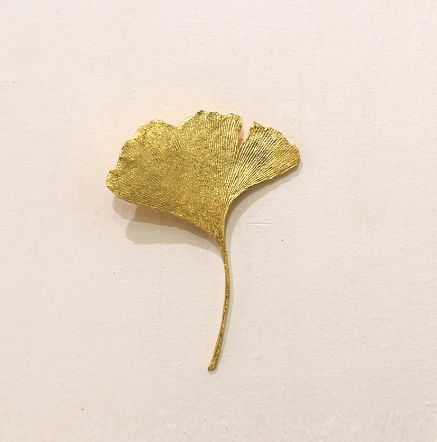 Rachel Murphy - Ginkgo Leaf